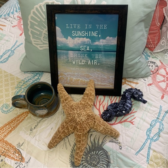 “ Salty Toes & Sandy Kisses” LISTING’s from the Sea! ✨Informational Post✨ - Picture 6 of 14